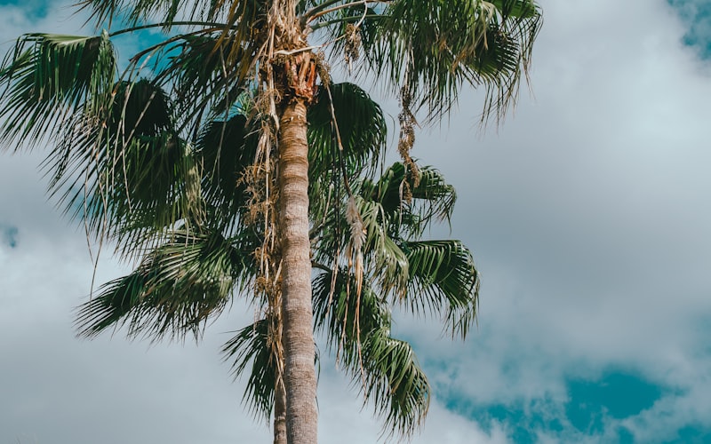 Florida Roofing Insurance: Hurricane Season Prep for 2026