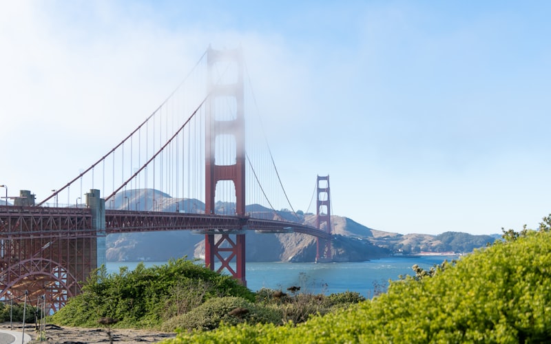 California C-39 License Insurance Requirements in 2026